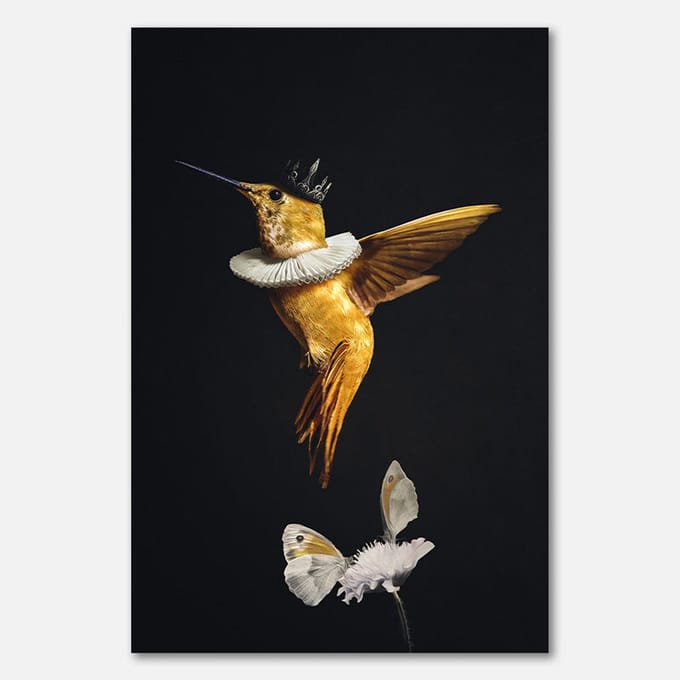 Schilderij op plexiglas - 80 x 120 cm - Kolibrie met kroon en vlinderbloem - PosterJunkie