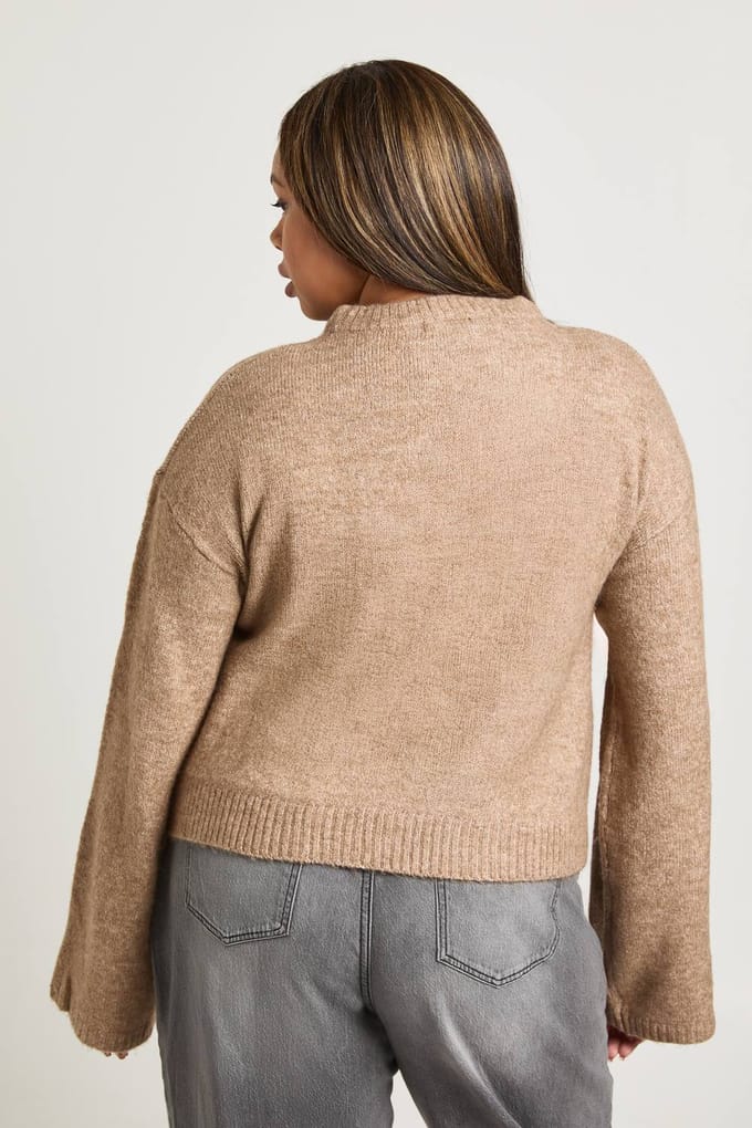 boohoo Dames PLUS RONDE HALS TRUI | Hazelnut | Maat: 24
