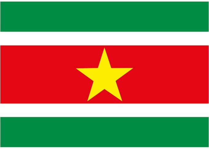 Vlag van Suriname stickers - 7.5 x 10 cm - Binnen/buiten - voor supporters
