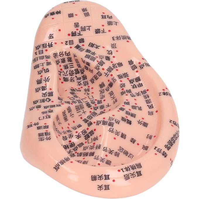 6.7in Ooracupunctuur Model Silicone Graveren Oormassage Acupunctuurmodel voor Thuis Laboratorium beige