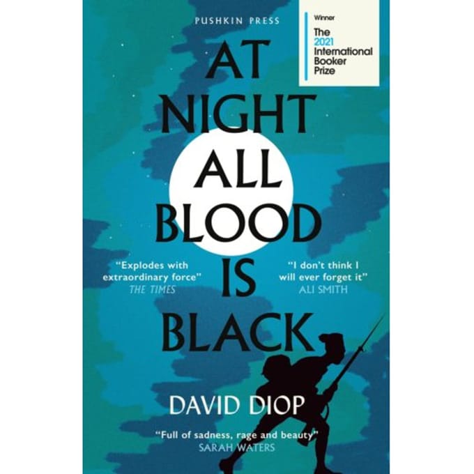 At Night All Blood Is Black - David Diop