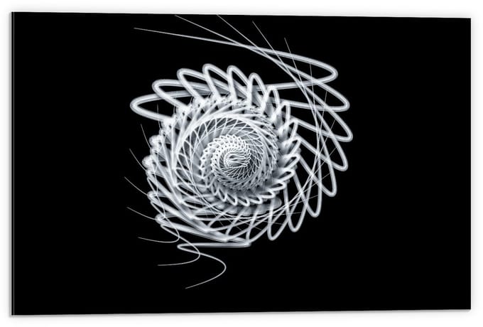 Dibond - Witte Schelp constructie  - 60x40cm Foto op Aluminium (Wanddecoratie van metaal)
