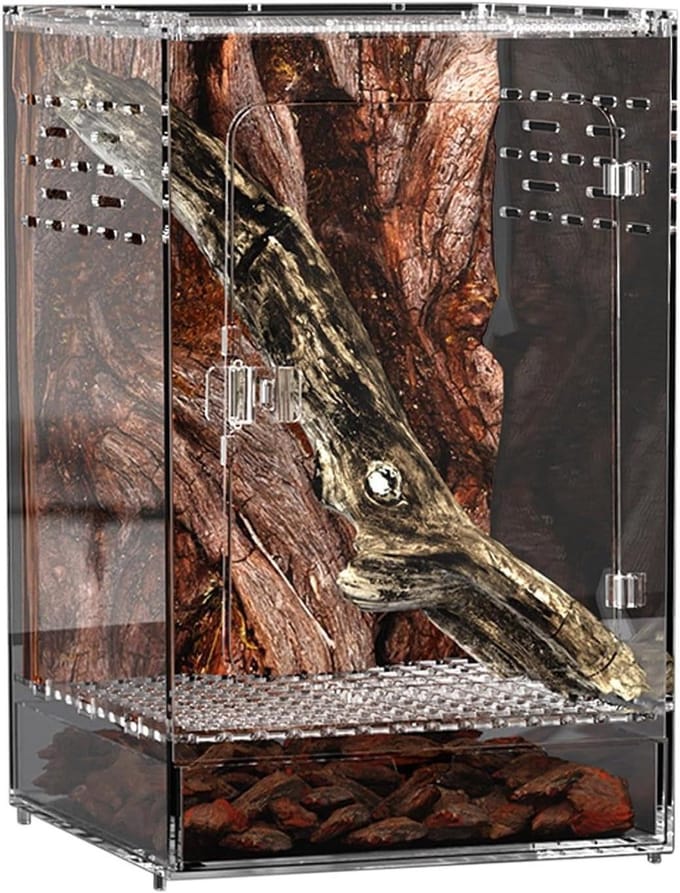 Jumping Spider Behuizing - Reptiel Terrarium - Observatie Display - Duidelijk Zicht - 25x15x15cm - Transparant