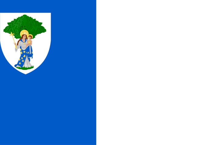 Vlag Boom 200x300cm