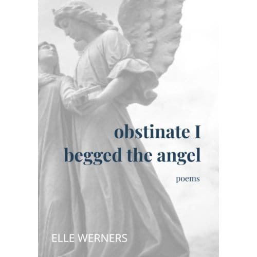 Obstinate I Begged The Angel - ELLE WERNERS