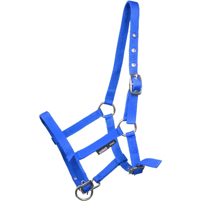 Horka Halster Veulen Blauw Maat Foal