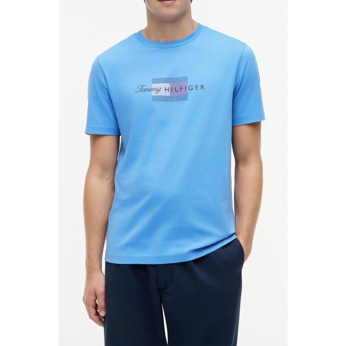 Tommy Hilfiger Script Flag Regular Tee Blue Spell Größe: M | Bedruckte T-Shirts Outlet | Herren | Blau