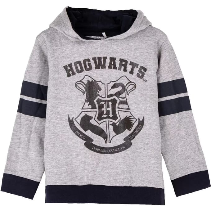Sweater met kap van geborsteld katoen voor kinderen Cerda Harry Potter