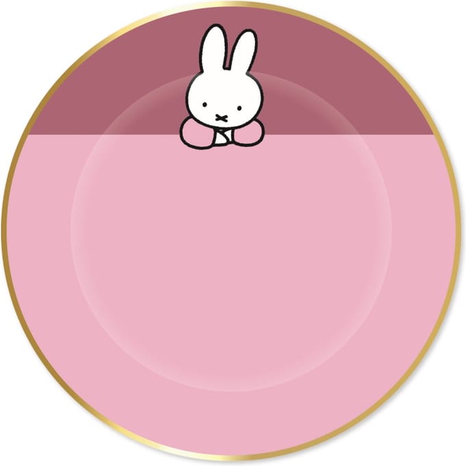 Ootje Kadootje Nijntje Roze Bord OK 8121