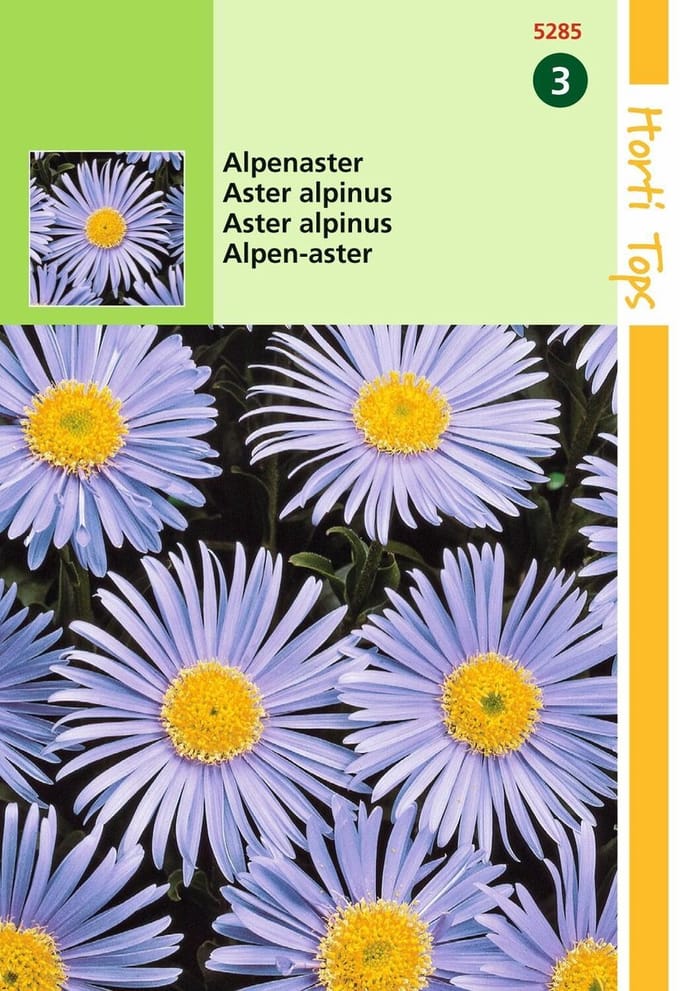 2 stuks Hortitops Aster Alpinus Lichtblauw
