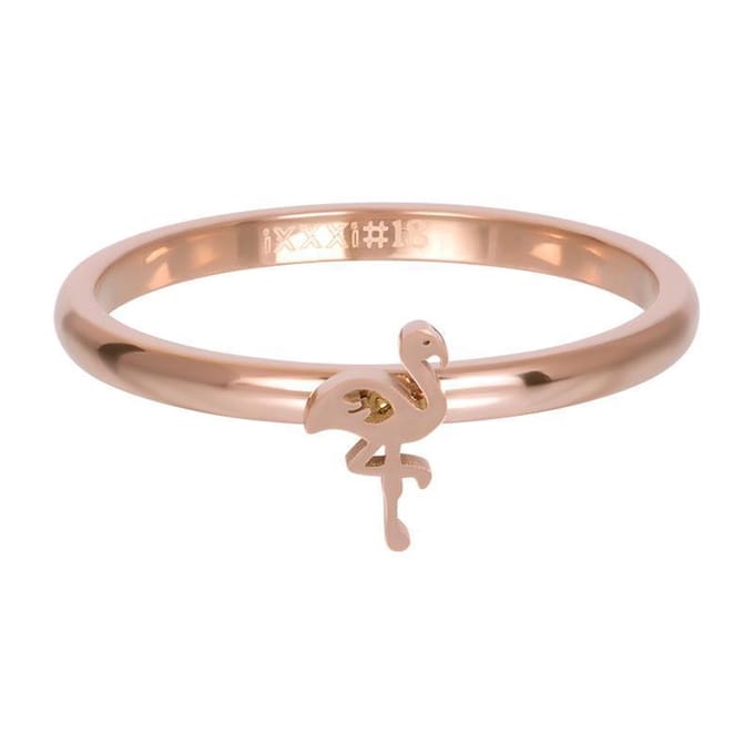 Symbol flamingo - iXXXi - Vulring 2 mm