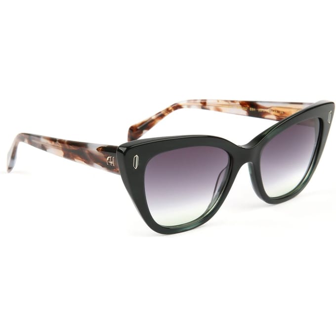 Ana Hickmann Sunglasses AH9437 E01 53
