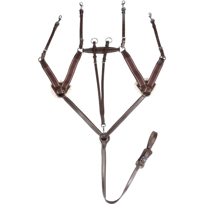 Vijfpunts halsband voor paard HKM