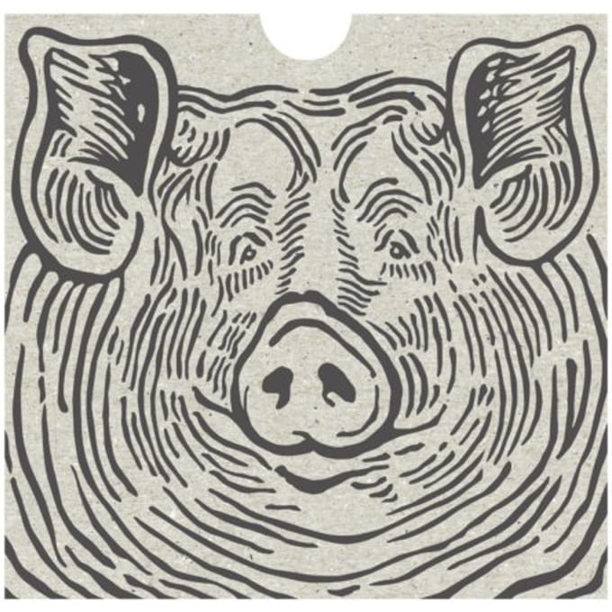 Dierenrijk - Rinske Kegel