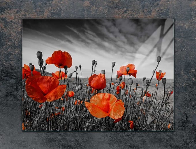 TMK ArtDeko - Snijplank - Veilig - 70x52 cm - Glas
