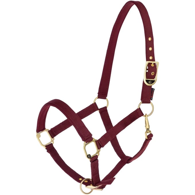 Halster voor paarden Covalliero Classy