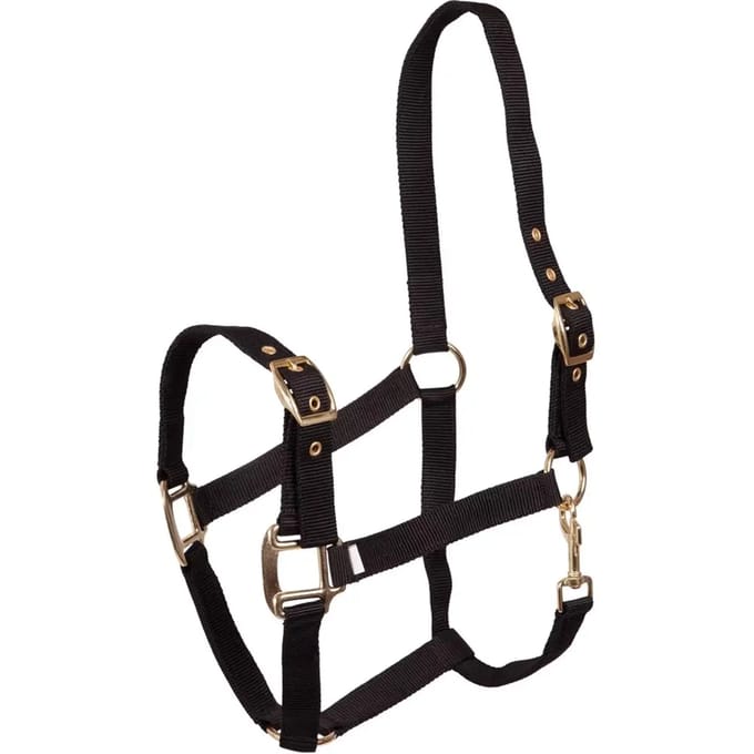 Polypropyleen halster Premiere Equitation