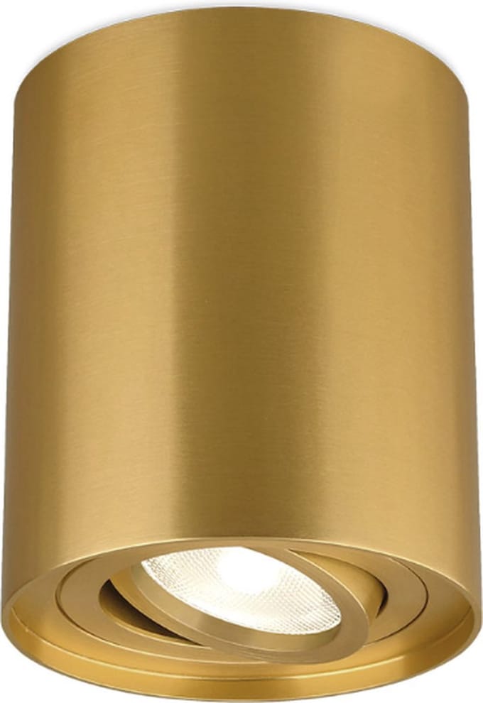 Braytron Gama SR B Spotlight Armatuur Rond Goud GU10 IP20