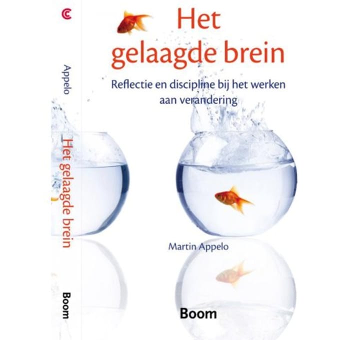 Het Gelaagde Brein - Martin Appelo