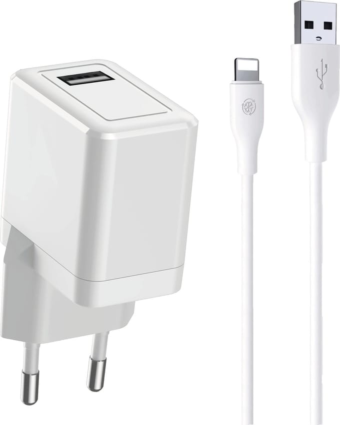 Oplader + Kabel 1 Meter - Geschikt voor Apple iPad - Snellader - 12W