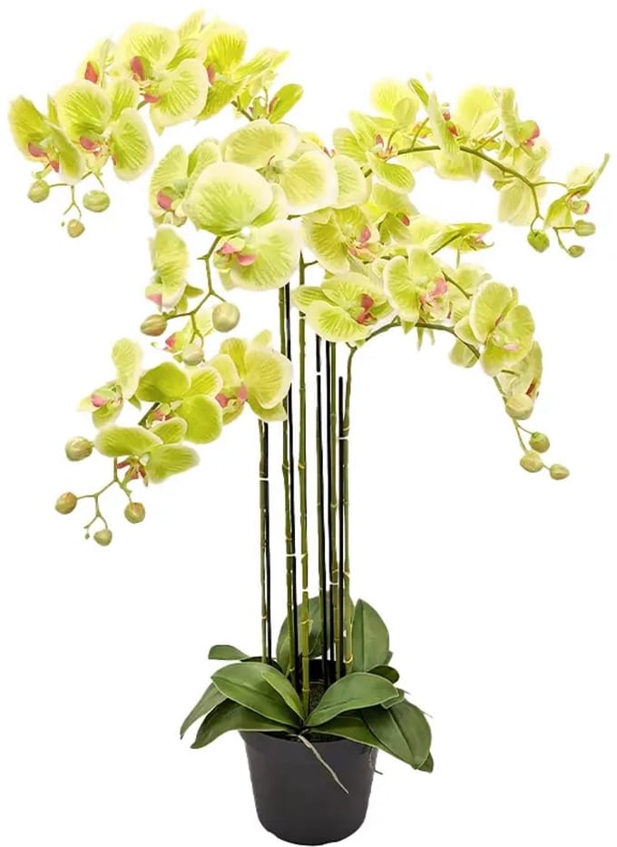 Orchidee Kunstplant 6-tak 88 cm - Groen