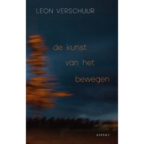 De Kunst Van Het Bewegen - Leon Verschuur
