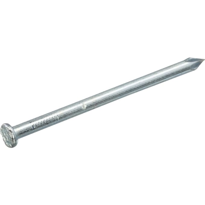 Intergard Draadnagel spijkers 3.0x65mm blank platkop per kg