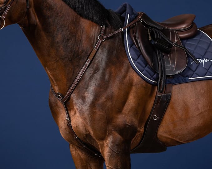Jachthalsband voor brugpaard Dy'on US Collection