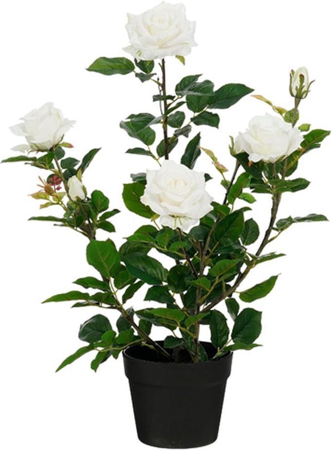 Mica Decorations - Roos in pot - Kunstplant = 45 x 35 x 62 cm - Creme