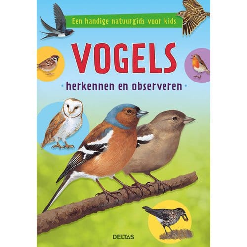 Vogels Herkennen En Observeren - Valerie TRACQUI