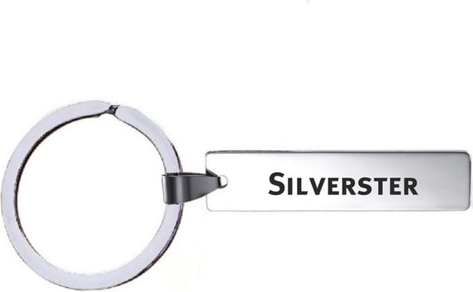 Sleutelhanger Met Naam - Silvester - RVS