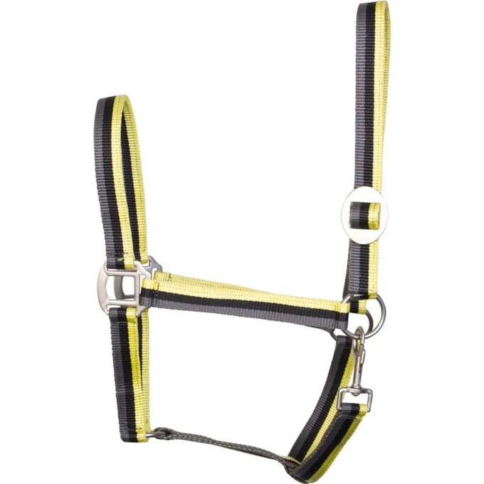 Halster Nylon Economic Colored Lime Full