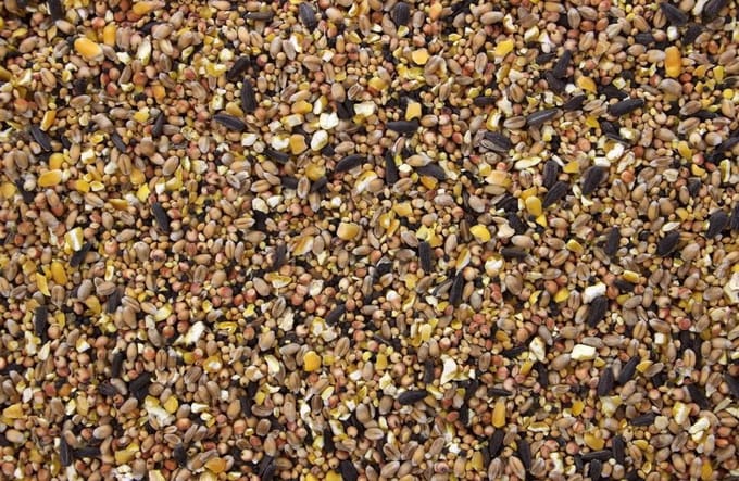 Strooivoer - 4 kilo - voor buitenvogels