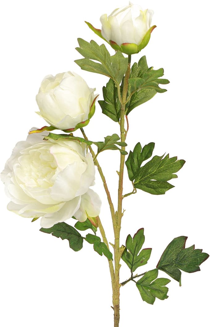 Kunstpioenrozen met 3 bloemen Wit Crème 81cm 2st, 2 Stück