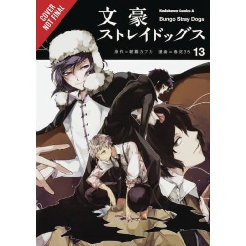 Bungo Stray Dogs, Vol. 13 - Bungo Stray Dogs - Bianca Pistillo