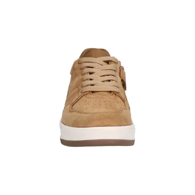 Gattino G1021-242