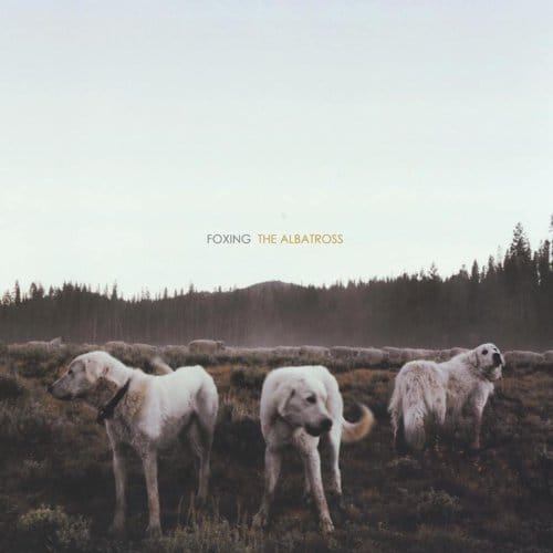 The Albatross - Foxing