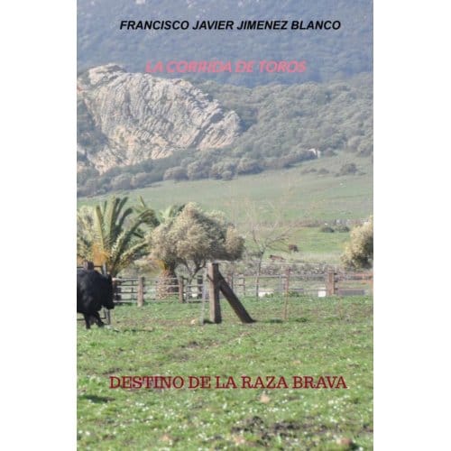 La Corrida De Toros - Francisco Javier JIMENEZ BLANCO