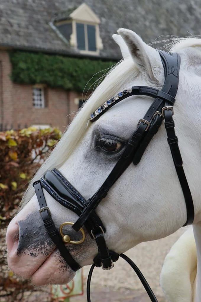Hb Hoofdstel Hb Showtime Special A-pony Zwart-blauw