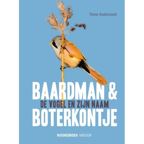 Baardman En Boterkontje - Toine Andernach