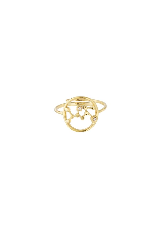 12 zodiac-ringen - Goudkleur