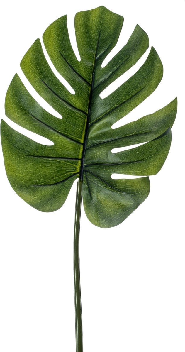 Emerald - Kunsttak Monstera Blad 73cm M - Kunstplant voor binnen