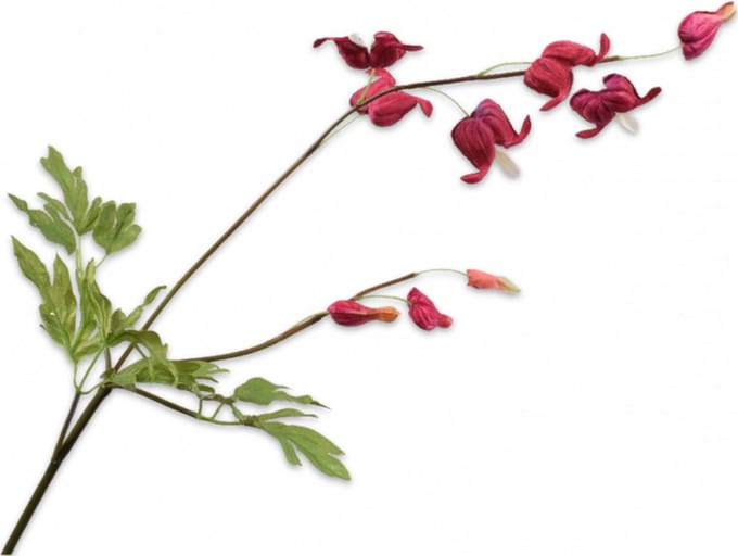 Silk-ka Kunstbloem-Zijden Bloem Frittelaria Tak Rood-Bruin 71 cm