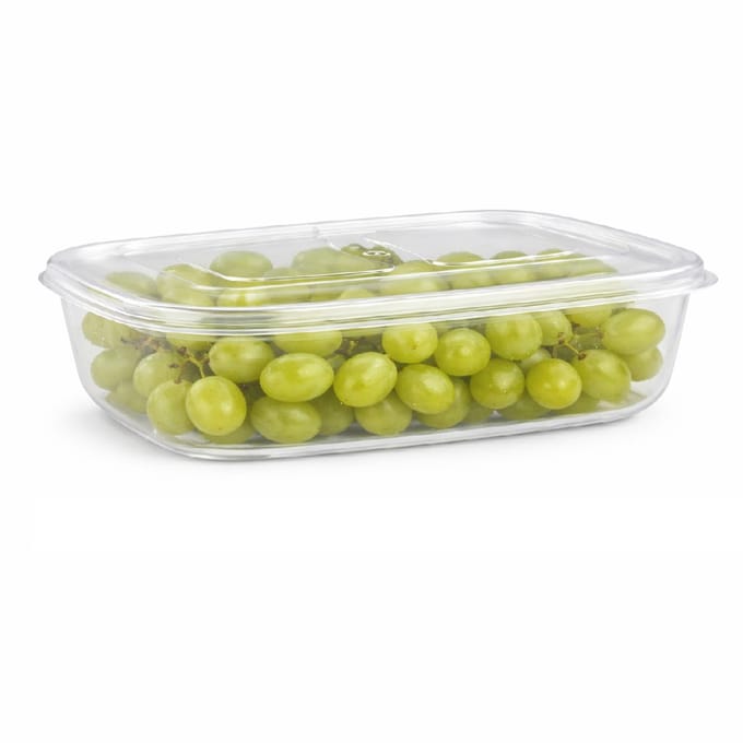 Plasticforte Vershoudbakje vriezer en magnetron - 800 ml - kunststof