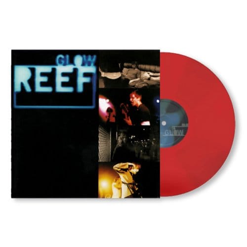 Glow - Reef