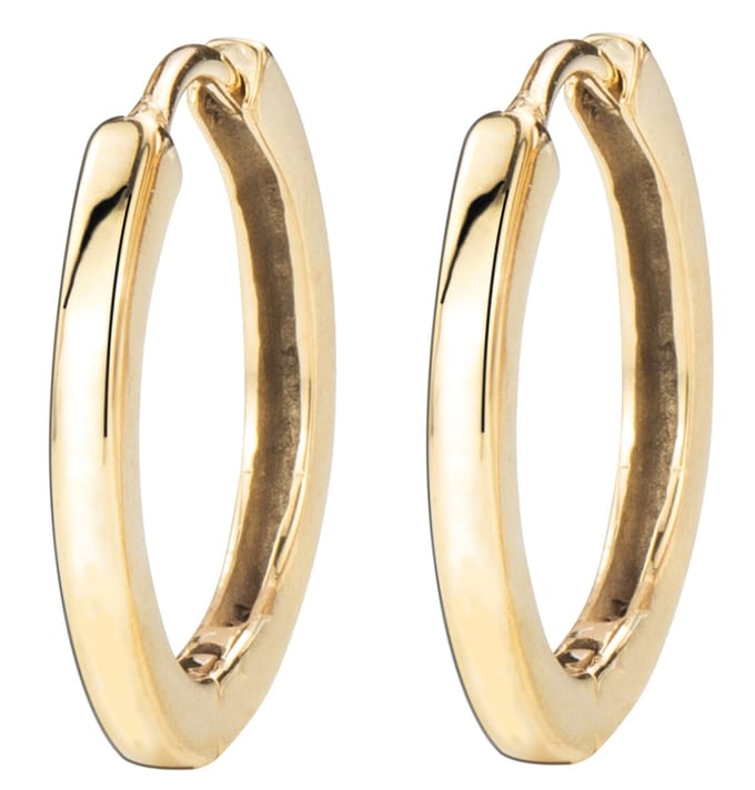 Traveller Oorringen - Dames - Goudkleurig - Edelstaal - Ringen 16 mm - Verguld - 166311