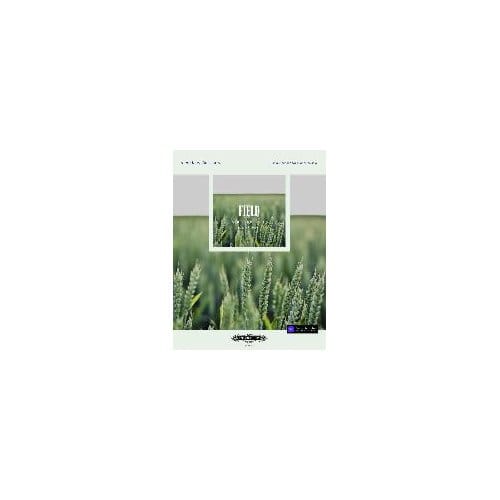 More Than The Scorefield Nocturne No 5 P - JOHN FIELD