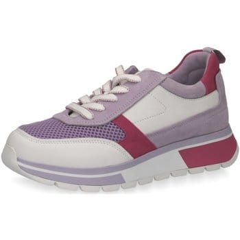 Sneaker in een harmonieuze kleurencombinatie Caprice Lila/Pink/Wit