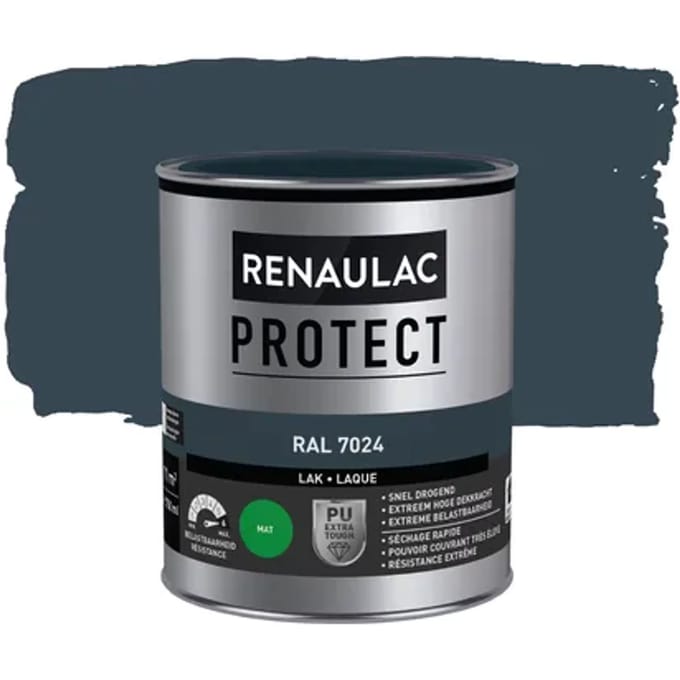 Renaulac Buitenlak Protect - Grafietgrijs - Mat - 750ml