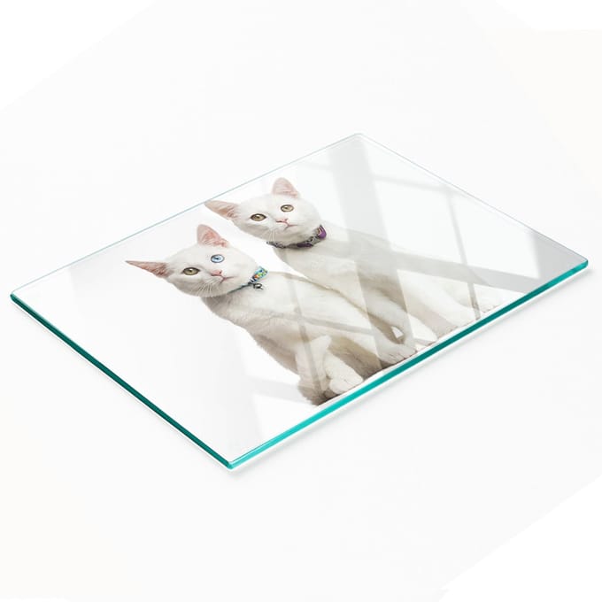 Gehard multifunctioneel decoratief bord van glas met witte katten, 80x52 cm